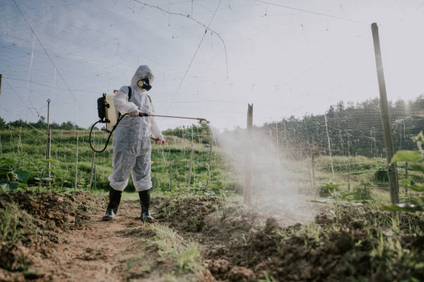 Best Pest Control for Homes  in Tigard, OR