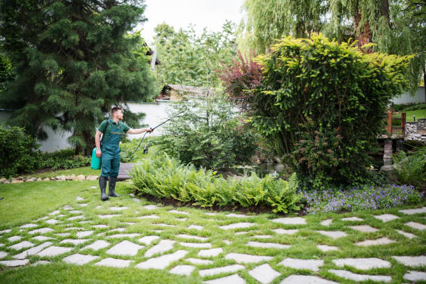 Best Pest Removal Services  in Tigard, OR
