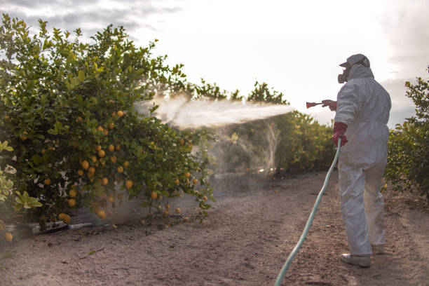 Best Local Pest Control Services  in Tigard, OR