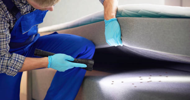 Professional Pest Control in Tigard, OR