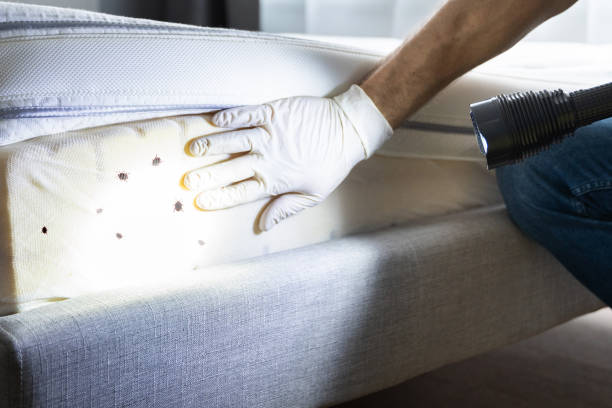 Best Pest Prevention Services  in Tigard, OR
