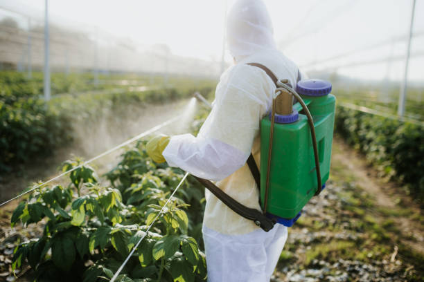 Best Exterminator Services  in Tigard, OR
